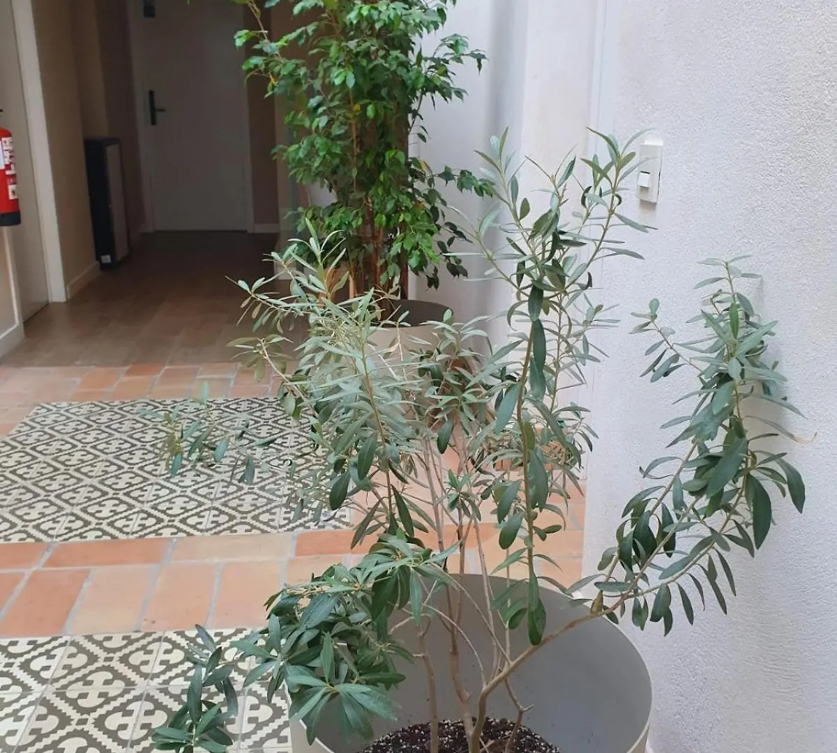Alegoria Coliving Experience Hotel Seville Guest house